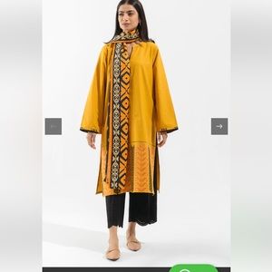 COPY - Pakistani Indian dress